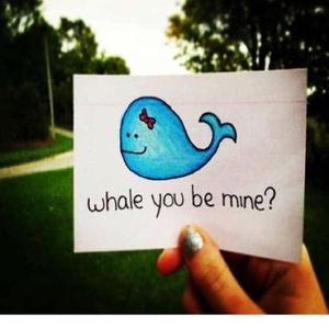 Meet your Posher, Miah